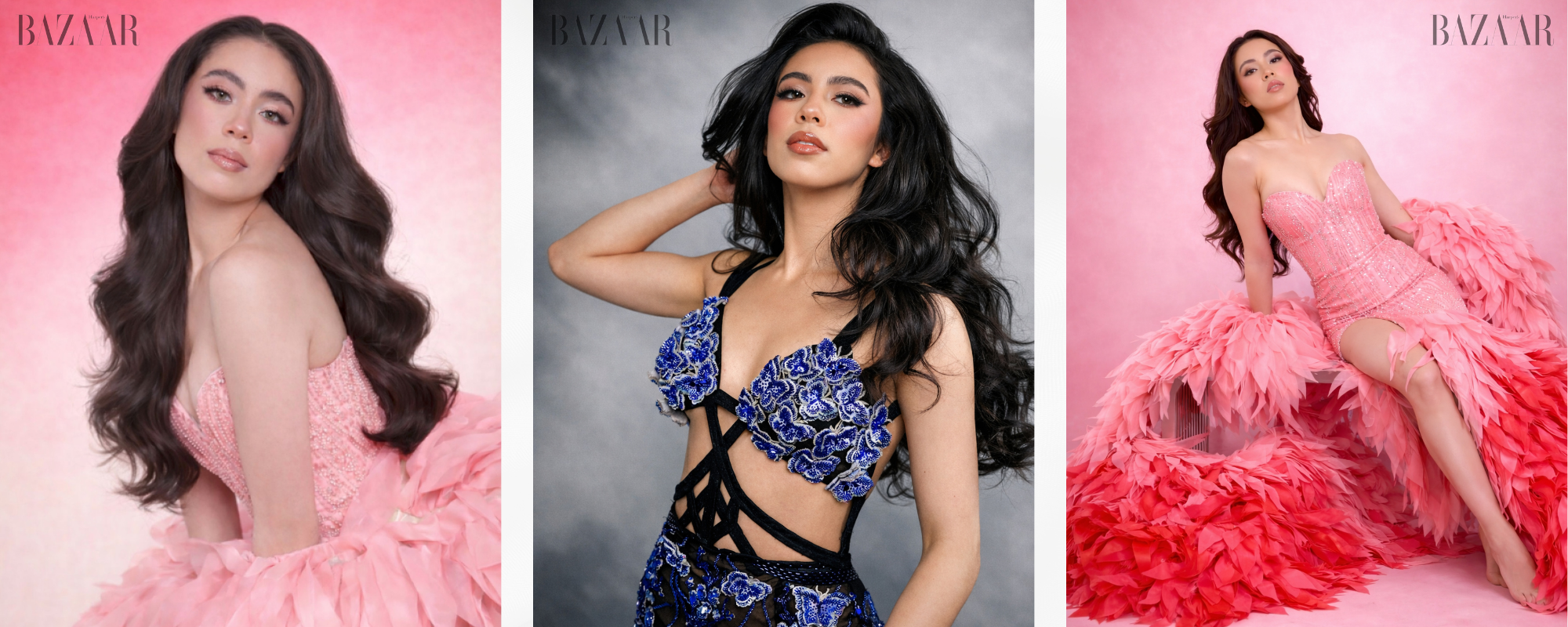 Website Update (14 x 6 in)